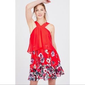 Badgley Mischka Popover Floral Ruffle Dress